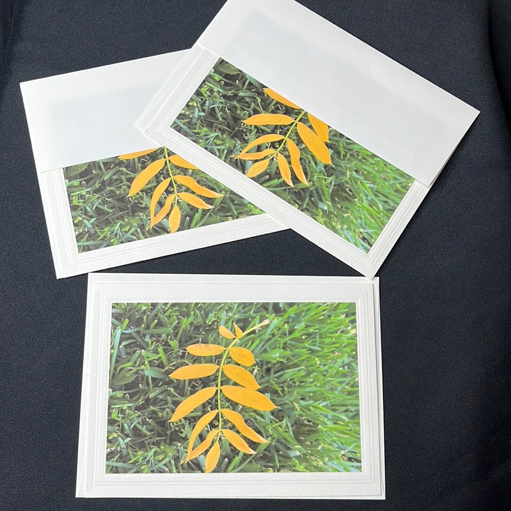 Set of 3 Hand crafted greeting cards with envelopes. Blank inside